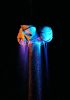Filename=20.JPG
Filesize=158KiB
Dimensions=563x800
Date added=Oct 31, 2017 20.JPG