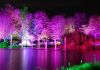 Filename=30.JPG
Filesize=332KiB
Dimensions=800x562
Date added=Oct 31, 2017 30.JPG