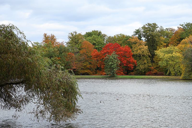 Karlsaue Kassel
