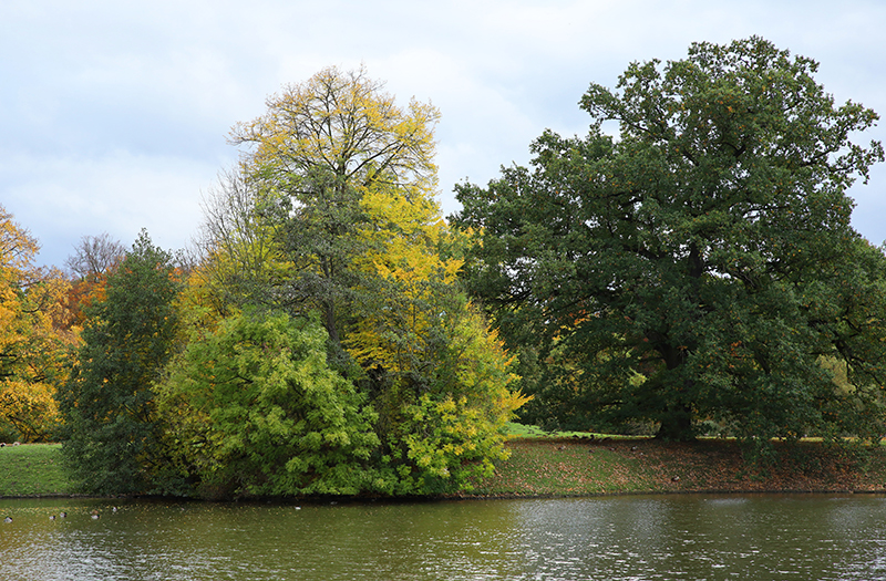 Karlsaue Kassel
