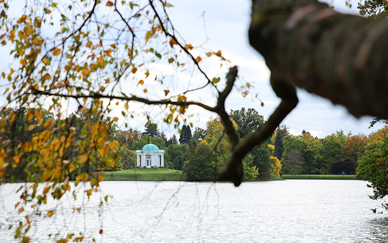 Blick auf den Tempel auf der Schwaneninsel
