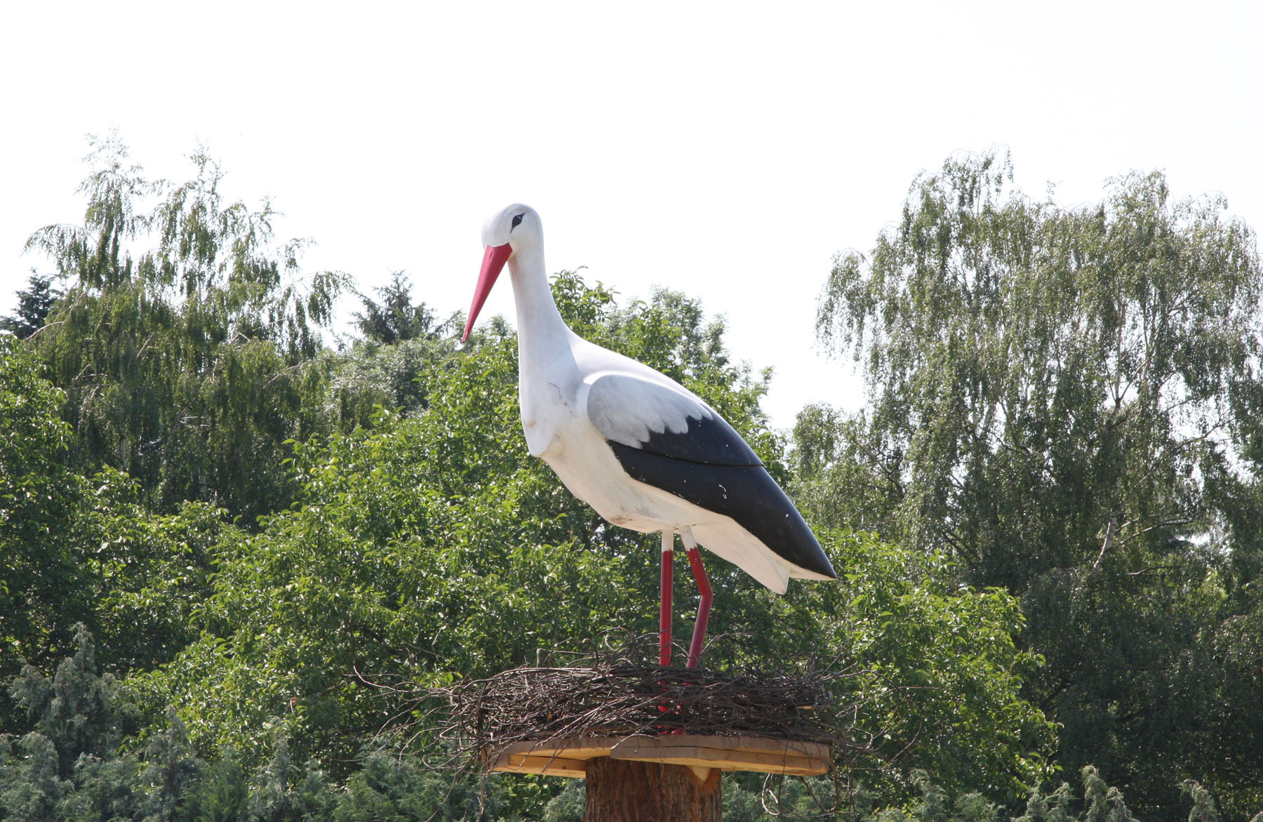 Impressionen vom Hessentag
