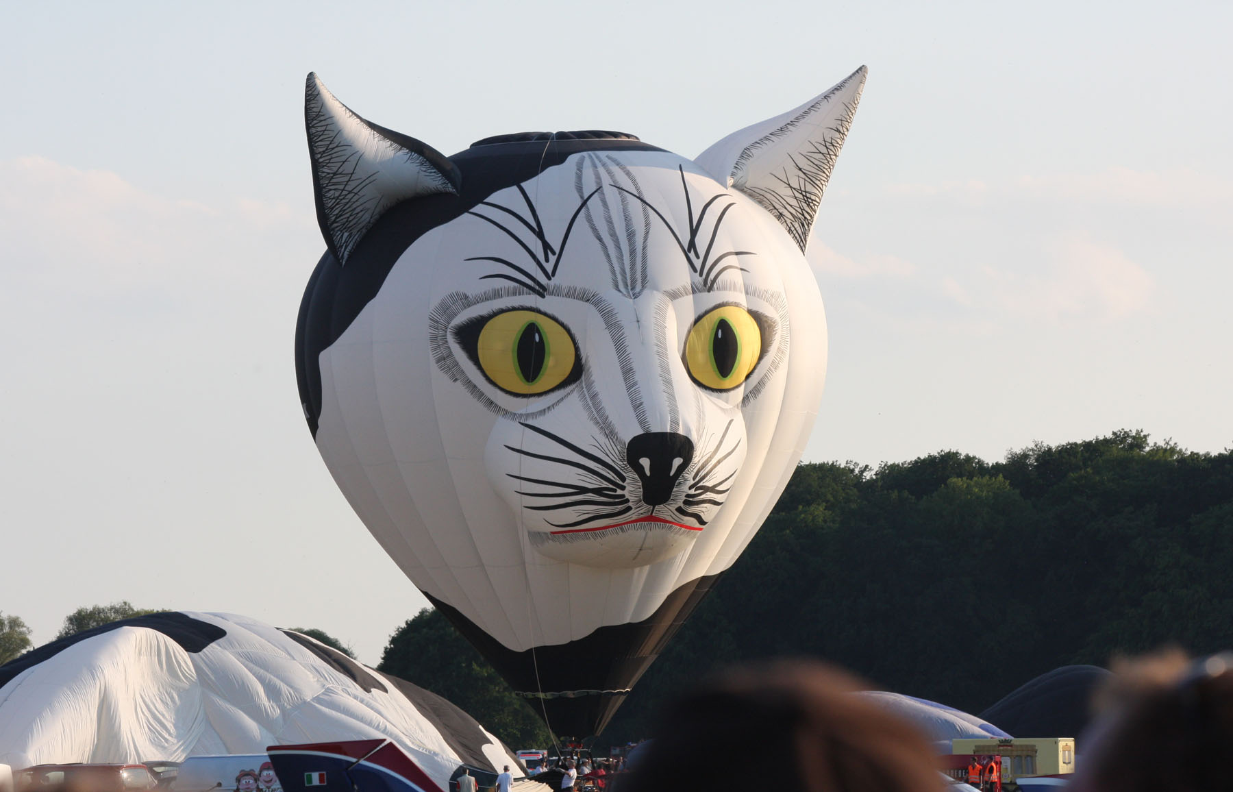 Impressionen vom Hessentag
