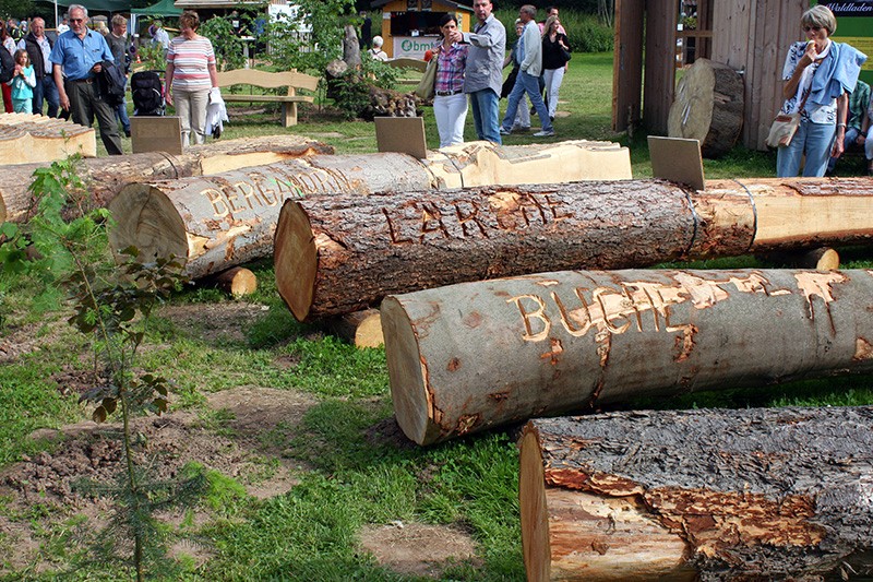 Verschiedene Holzarten
