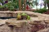Filename=42.JPG
Filesize=156KiB
Dimensions=800x533
Date added=Jun 28, 2013 42.JPG