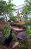 Filename=44.JPG
Filesize=209KiB
Dimensions=512x800
Date added=Jun 28, 2013 44.JPG