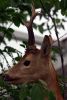 Filename=68.JPG
Filesize=123KiB
Dimensions=537x800
Date added=Jun 28, 2013 68.JPG