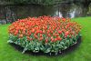 Filename=IMG_7750.JPG
Filesize=395KiB
Dimensions=800x537
Date added=May 07, 2023 IMG_7750.JPG