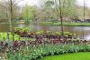 Filename=IMG_7758.JPG
Filesize=415KiB
Dimensions=800x533
Date added=May 07, 2023 IMG_7758.JPG