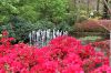 Filename=IMG_7768.JPG
Filesize=403KiB
Dimensions=800x530
Date added=May 07, 2023 IMG_7768.JPG