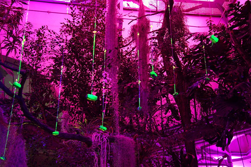 Lichtinstallation
