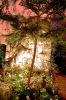 Filename=13.JPG
Filesize=255KiB
Dimensions=533x800
Date added=Jan 17, 2013 13.JPG