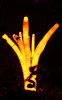 Filename=16.JPG
Filesize=184KiB
Dimensions=501x800
Date added=Jan 17, 2013 16.JPG