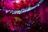 Filename=24.JPG
Filesize=149KiB
Dimensions=800x533
Date added=Jan 17, 2013 24.JPG