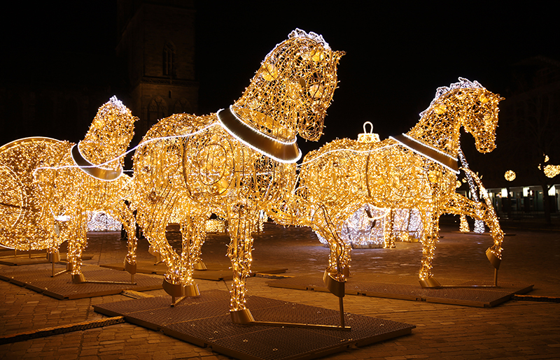 Pferde am Domplatz
