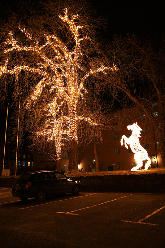 Baum und Pferd, Schlossplatz
