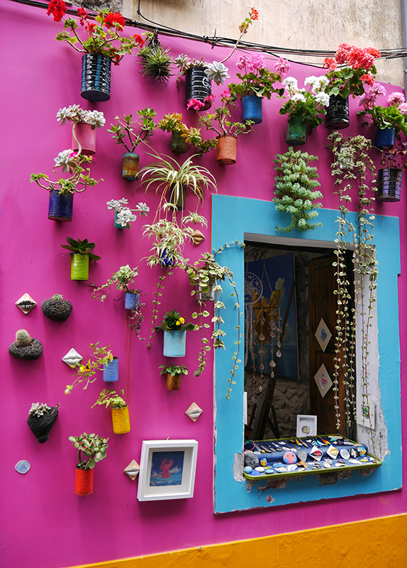 Bunte TÃ¼ren in der Rua de Santa Maria, Funchal
