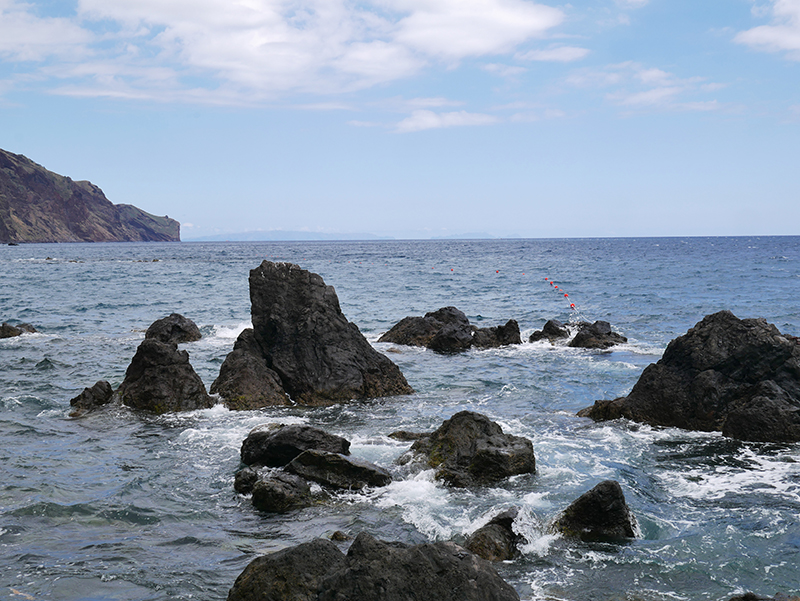 Felsformation vor Funchal
