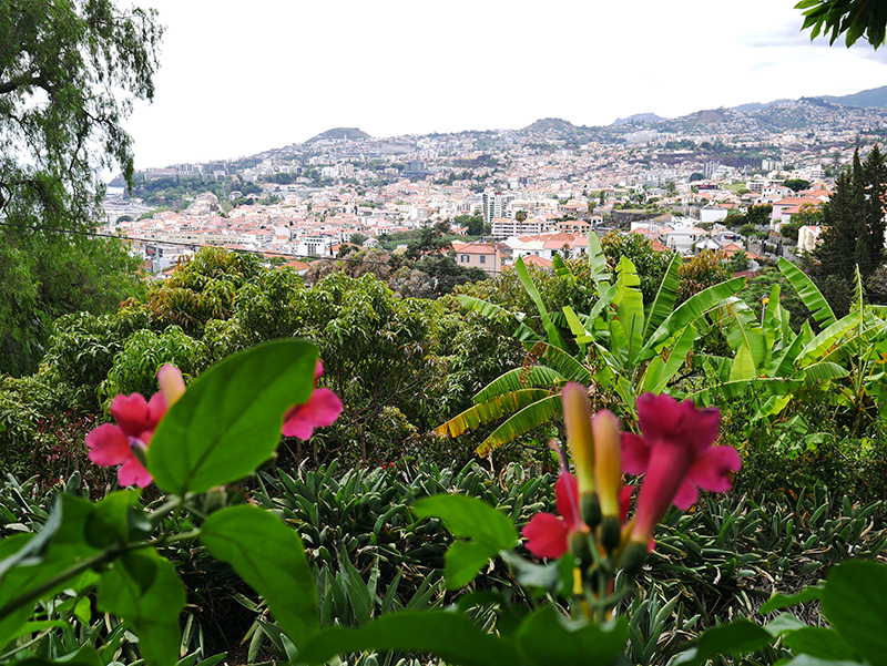 Blick vom Orchideengarten nach Funchal
