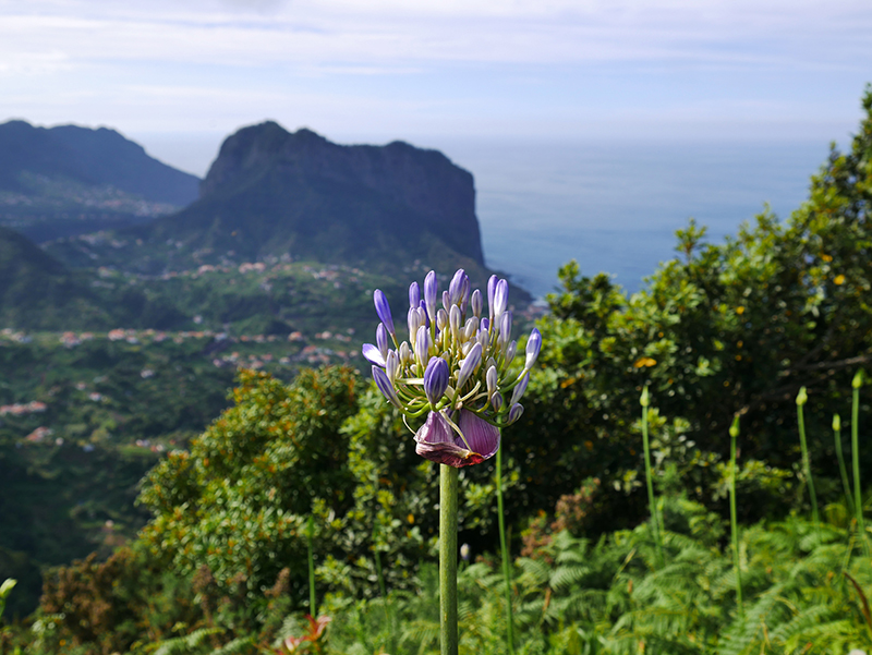 Aussichtspunkt Portela
