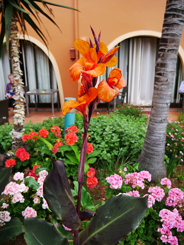 Quinta Splendida Hotel & Botanical Garden in CaniÃ§o
