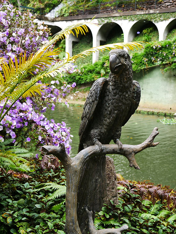 Im tropischen Garten "Jardim Tropical Monte Palace"
