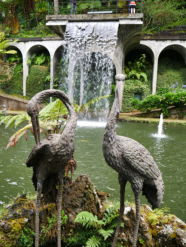 Im tropischen Garten "Jardim Tropical Monte Palace"
