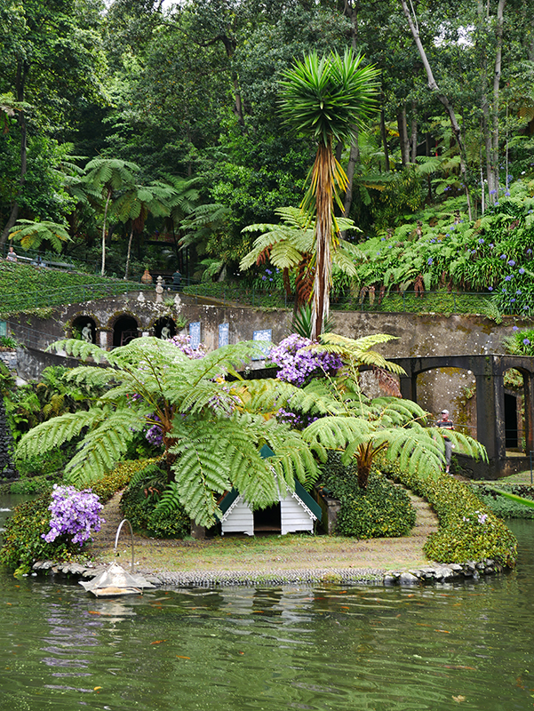 Im tropischen Garten "Jardim Tropical Monte Palace"
