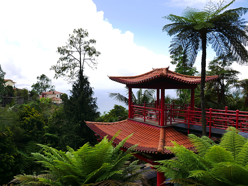 Im tropischen Garten "Jardim Tropical Monte Palace"
