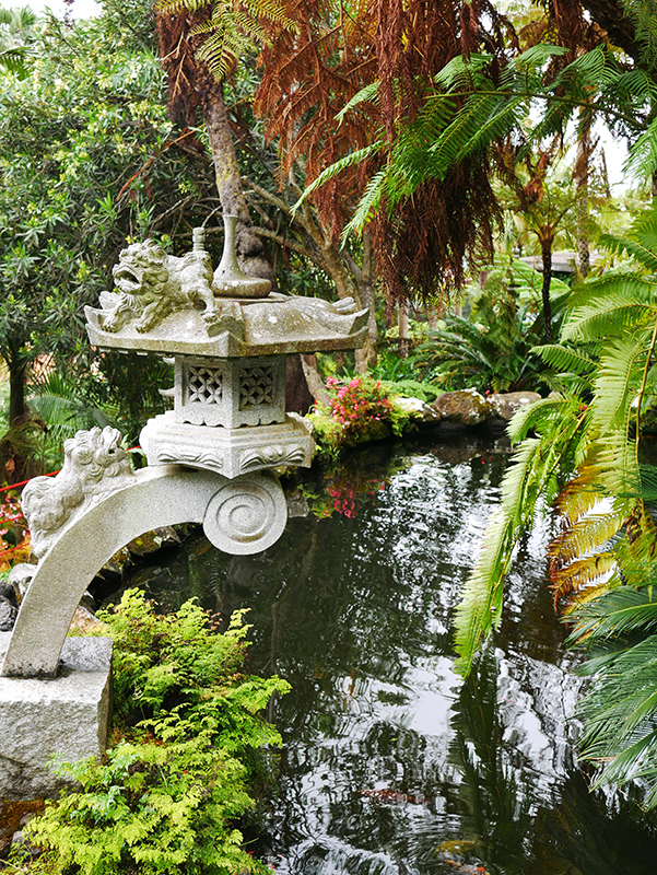 Im tropischen Garten "Jardim Tropical Monte Palace"
