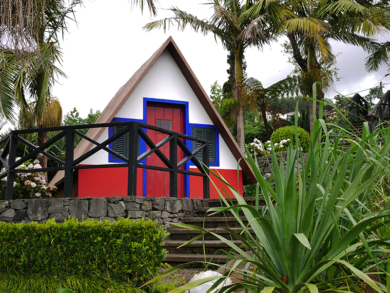 Im tropischen Garten "Jardim Tropical Monte Palace"
