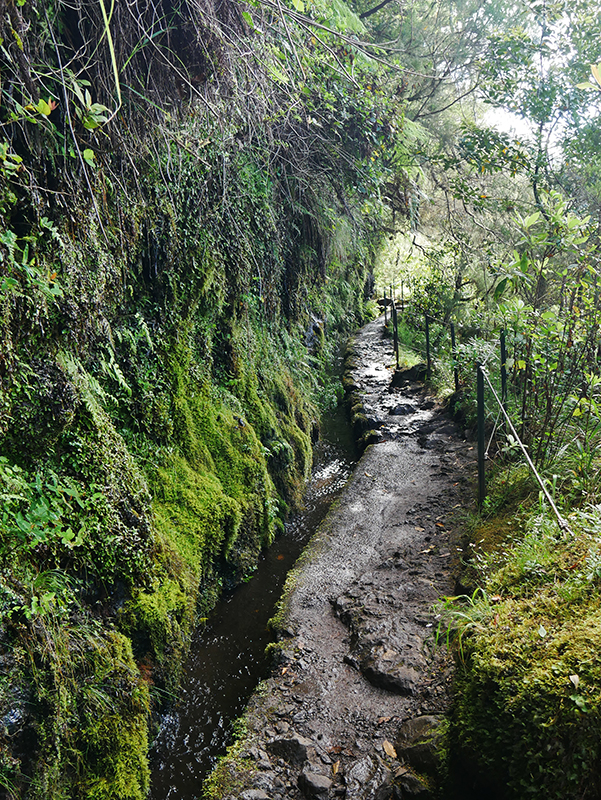 Levadawanderung "Caldeirao Verde"
