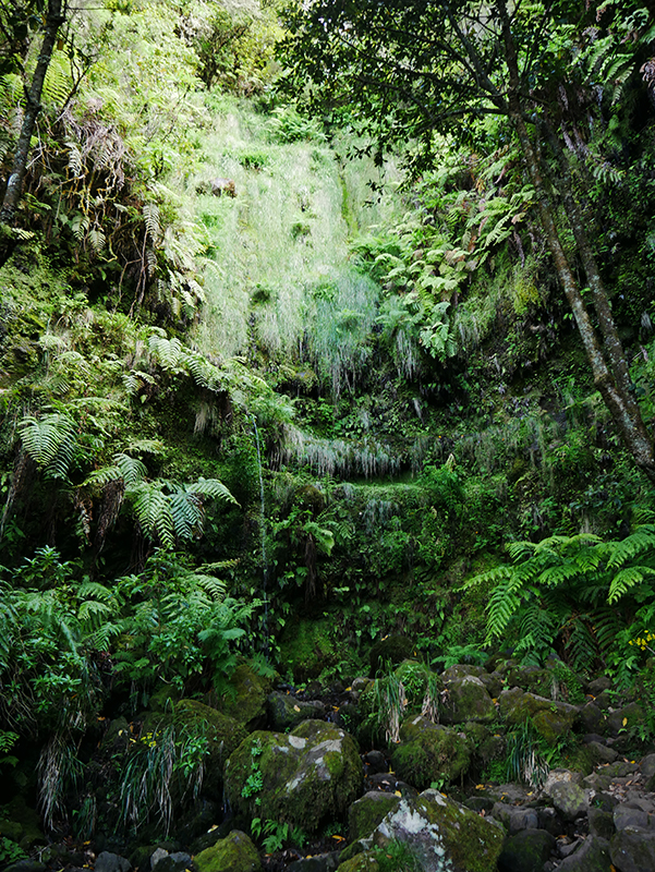 Levadawanderung "Caldeirao Verde"
