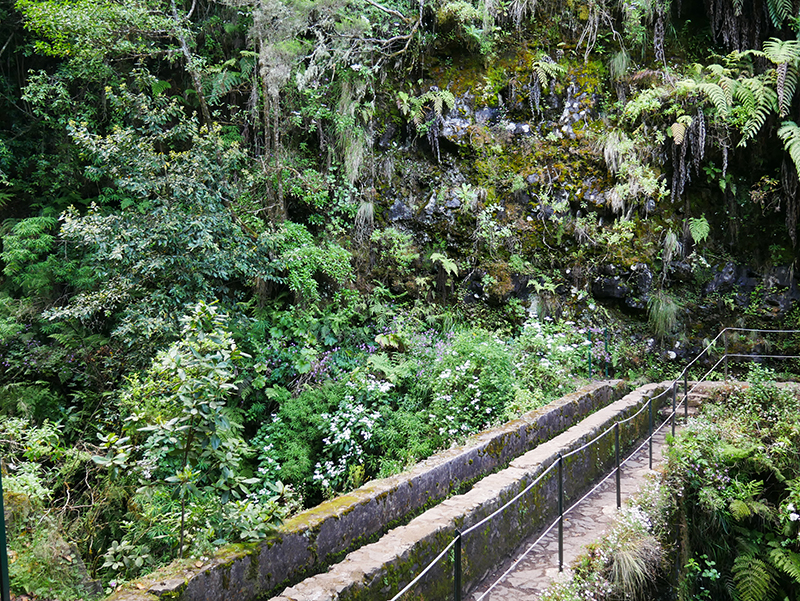 Levadawanderung "Caldeirao Verde"
