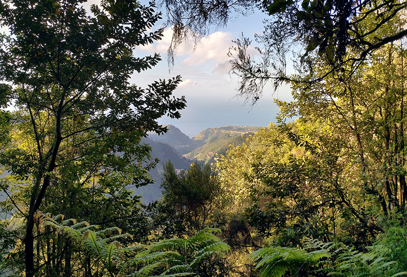 Levadawanderung im Parqoue Forestal das Queimadas
