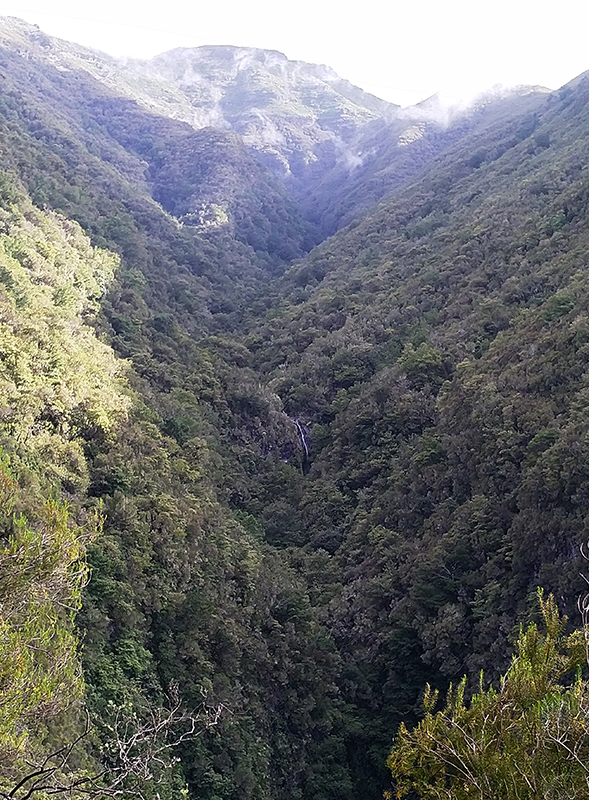 Levadawanderung im Parqoue Forestal das Queimadas
