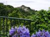 Filename=018.JPG
Filesize=609KiB
Dimensions=800x601
Date added=Jun 20, 2019 018.JPG