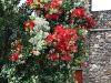 Filename=030.JPG
Filesize=764KiB
Dimensions=800x601
Date added=Jun 20, 2019 030.JPG