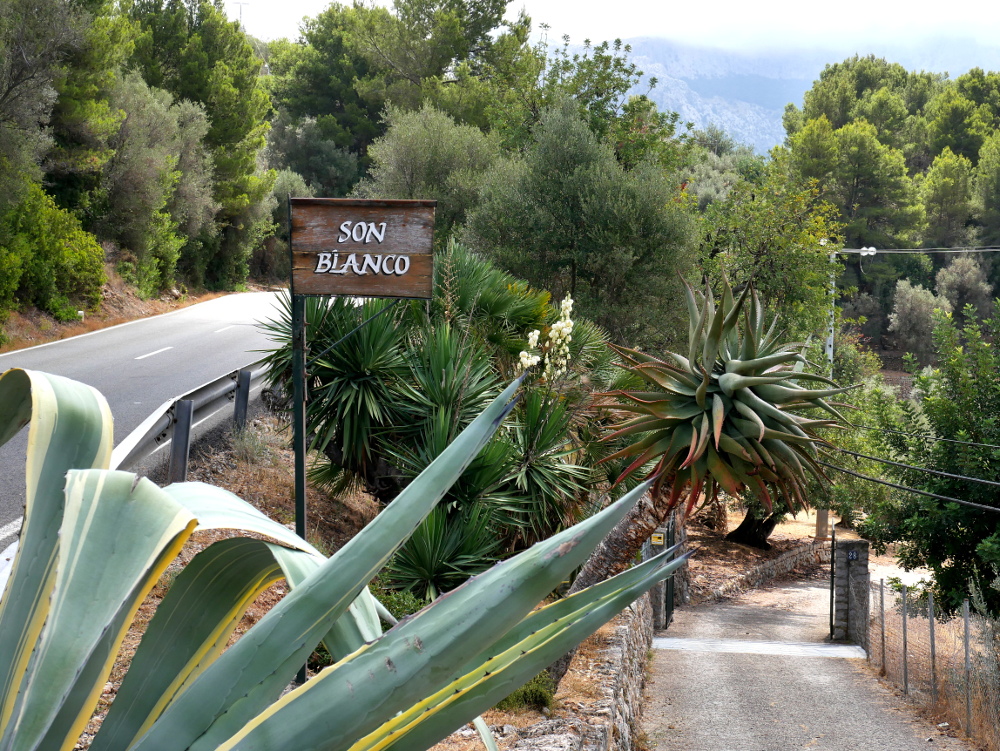 Auf dem Weg von SollÃ©r zum Puig Major
