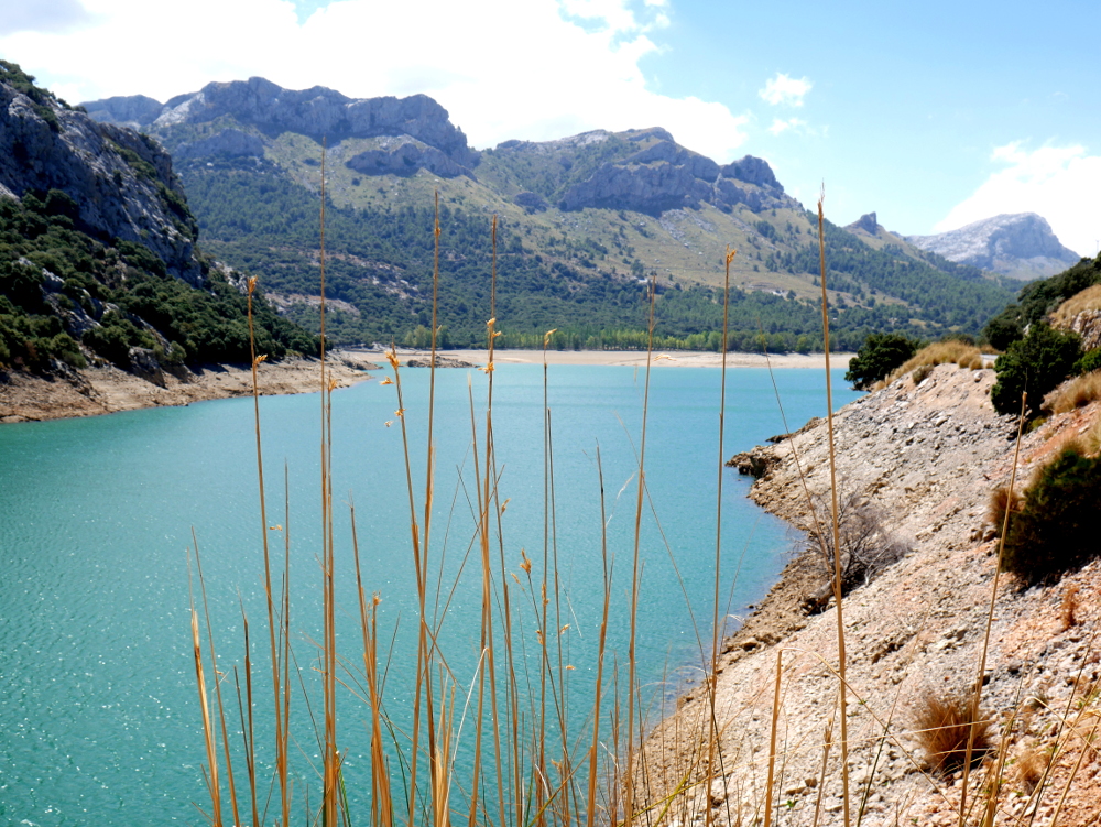 Am "Gorg blau" - ein Wasserspeicher
