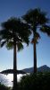 Filename=24.jpg
Filesize=273KiB
Dimensions=563x1000
Date added=Sep 04, 2016 24.jpg