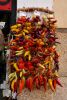 Filename=28.JPG
Filesize=498KiB
Dimensions=671x1000
Date added=Sep 04, 2016 28.JPG