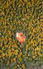 Filename=58.JPG
Filesize=670KiB
Dimensions=505x800
Date added=Feb 02, 2012 58.JPG