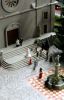 Filename=67.JPG
Filesize=128KiB
Dimensions=512x800
Date added=Feb 02, 2012 67.JPG