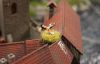 Filename=71.JPG
Filesize=380KiB
Dimensions=800x513
Date added=Feb 02, 2012 71.JPG