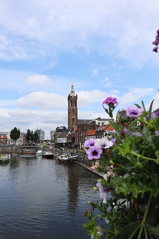 Blick über die Rur zur Sint Christoffelkathedraal, Roermond (NL)
