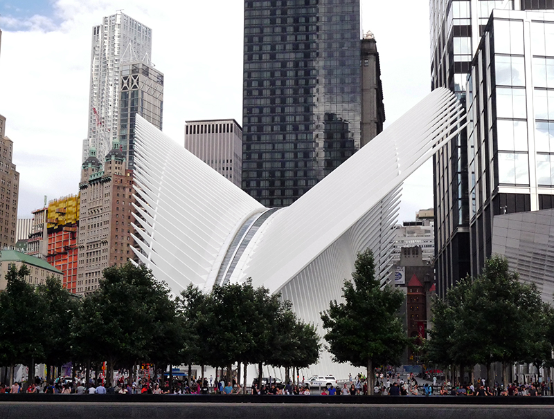 The Oculus
