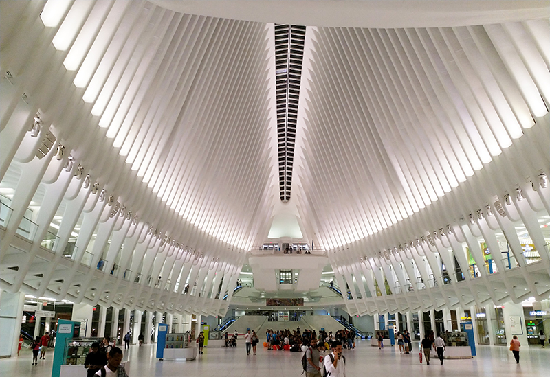 The Oculus
