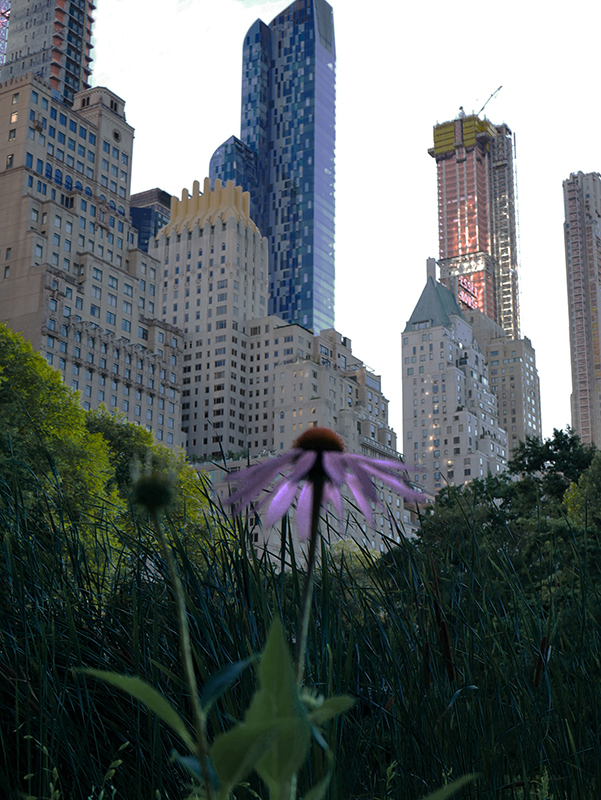 Am sÃ¼dÃ¶stlichen Ende des Central Parks
