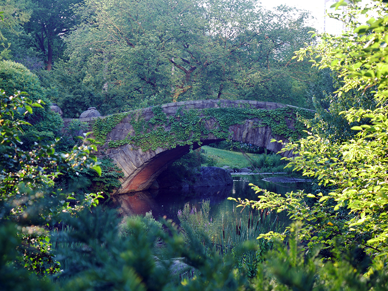 The Gapstow Bridge - Bekannt aus "Kevin allein in New York"
